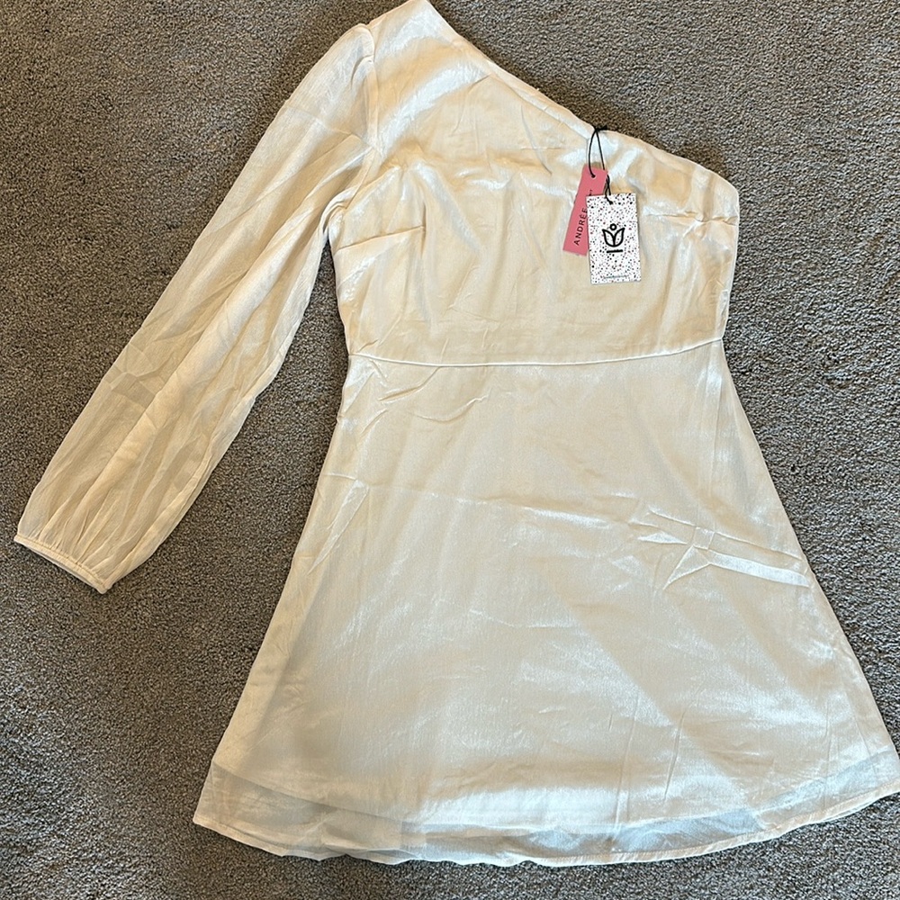 Andree by Unit one sleeve champagne shimmer dress